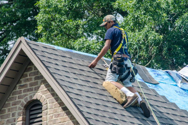 Professional Roofing Contractor in St Augustine, FL